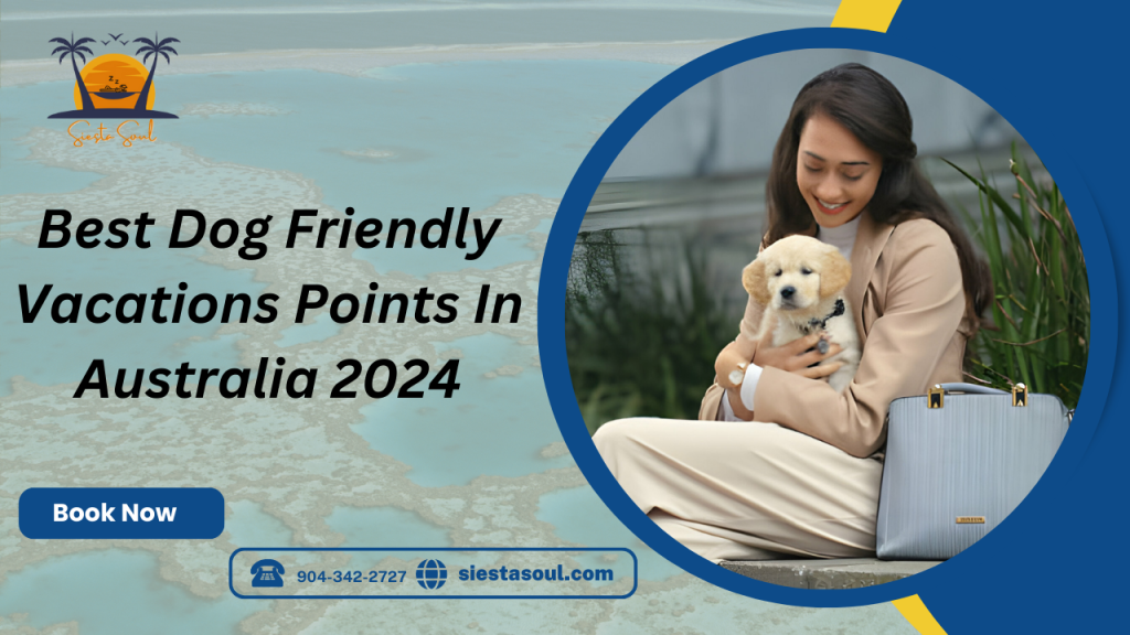 Best Dog Friendly Vacations Points In Australia 2024